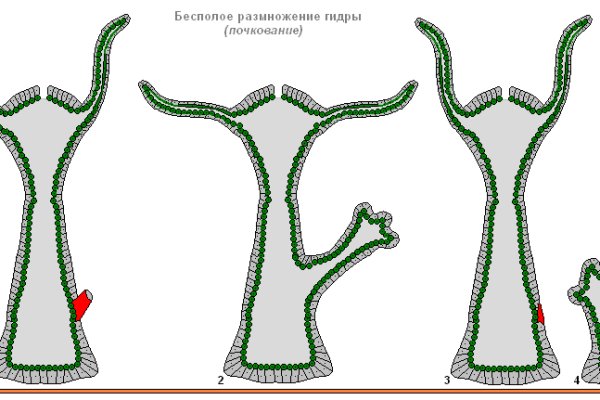 Кракен 15at