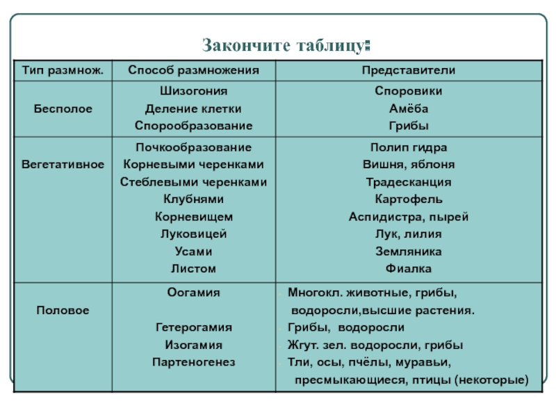 Kra15gl